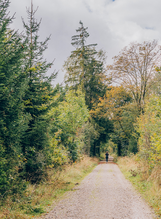 Person joggt allein auf einem ruhigen Kiesweg inmitten der Natur